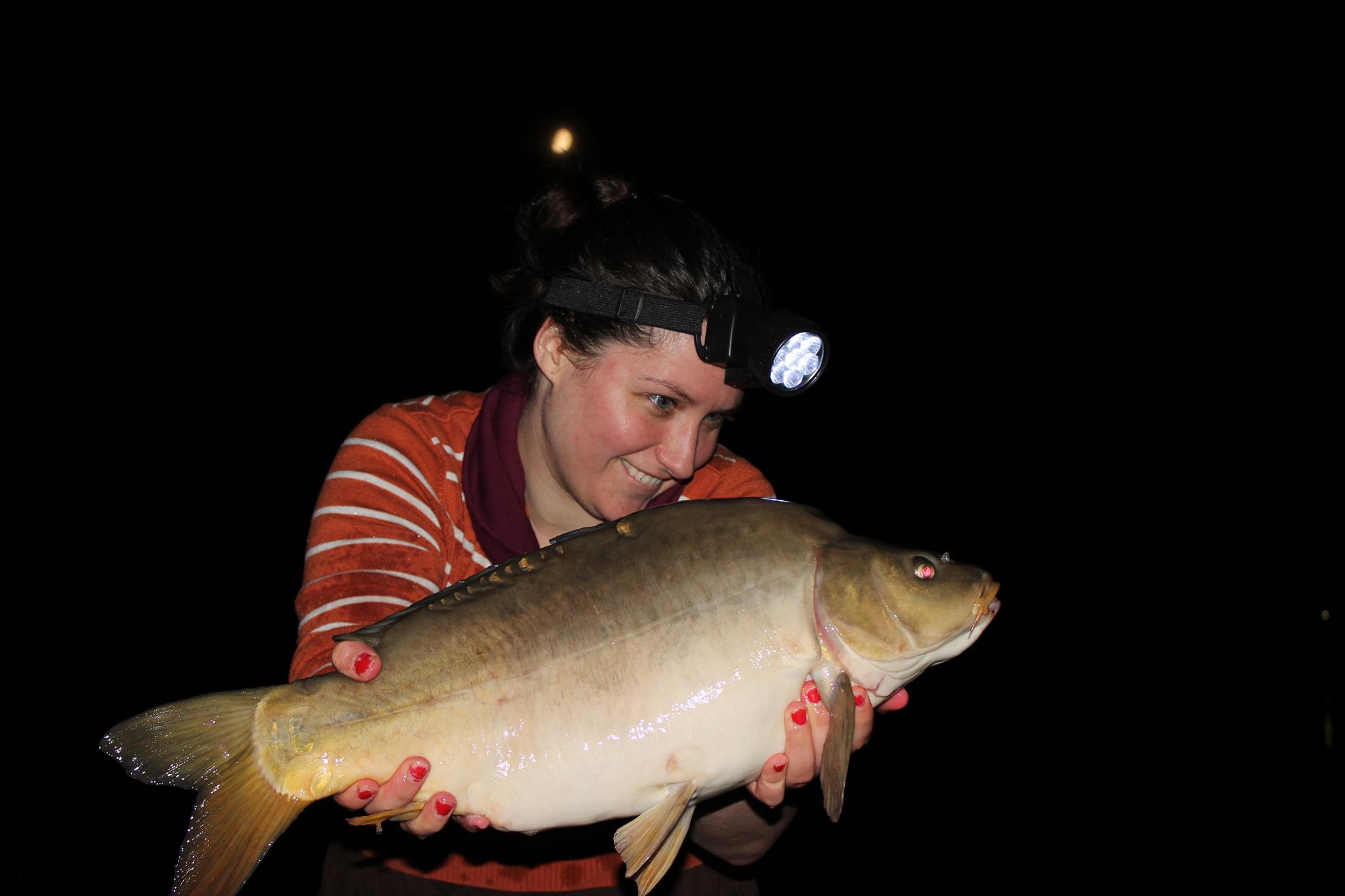 Hermes Peris 7 - 8 iunie 2014 - img7439.JPG